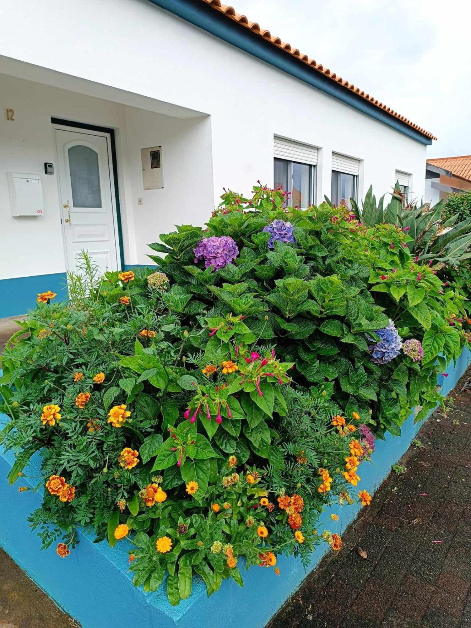 Apartamento Da Matilde Santa Cruz das Flores Exterior photo